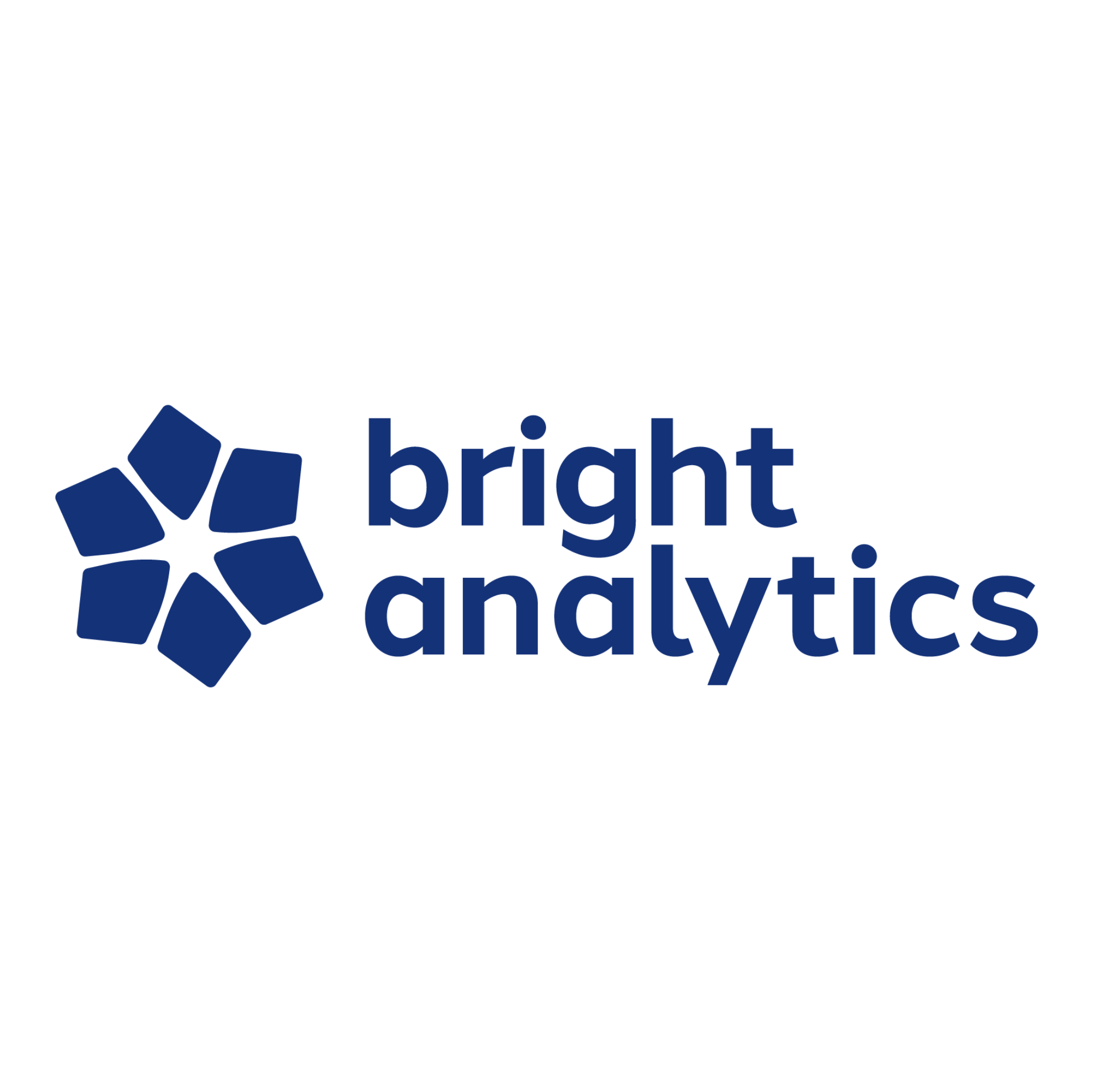 Bright Analytics